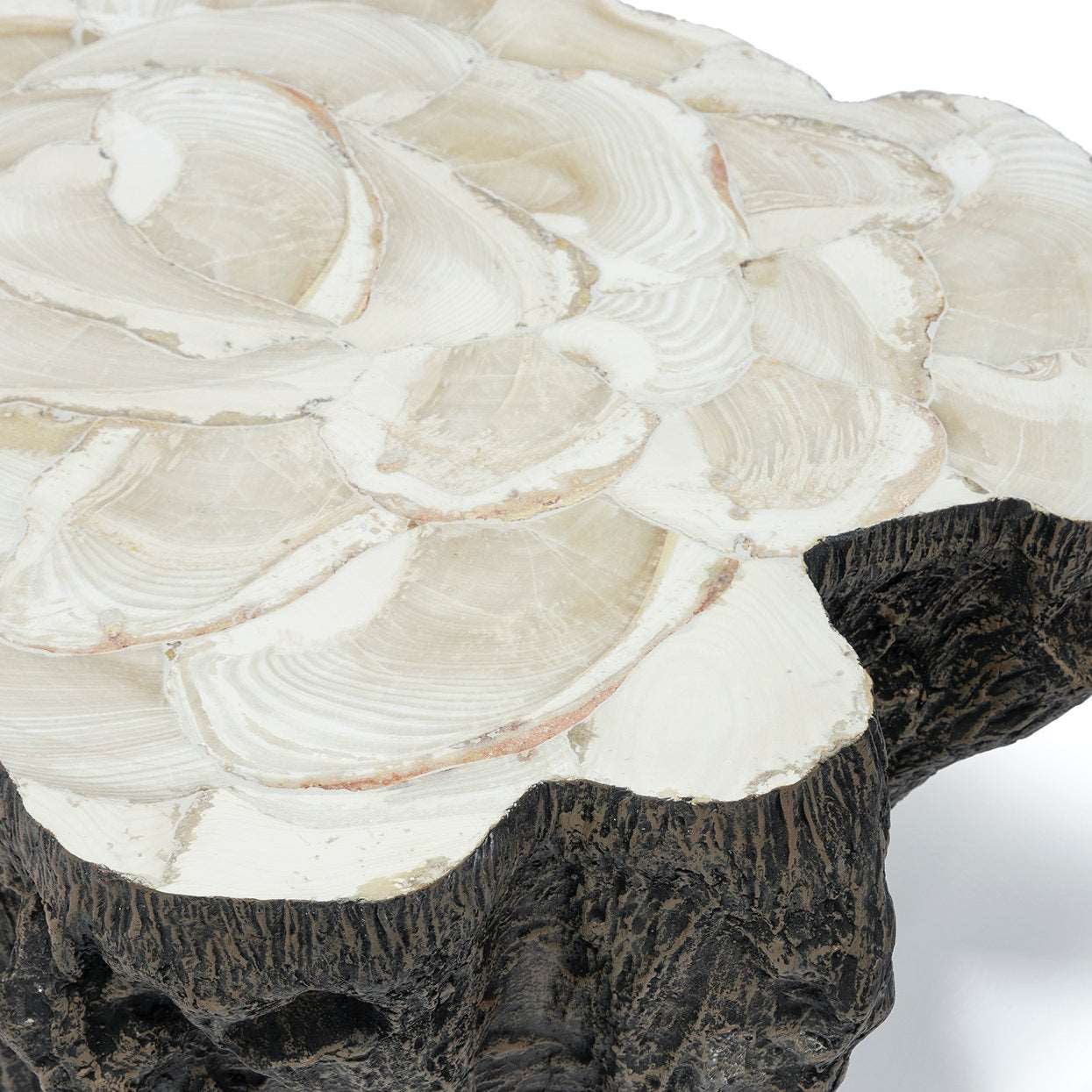 Chloe Fossil Clam Lava Coffee Table