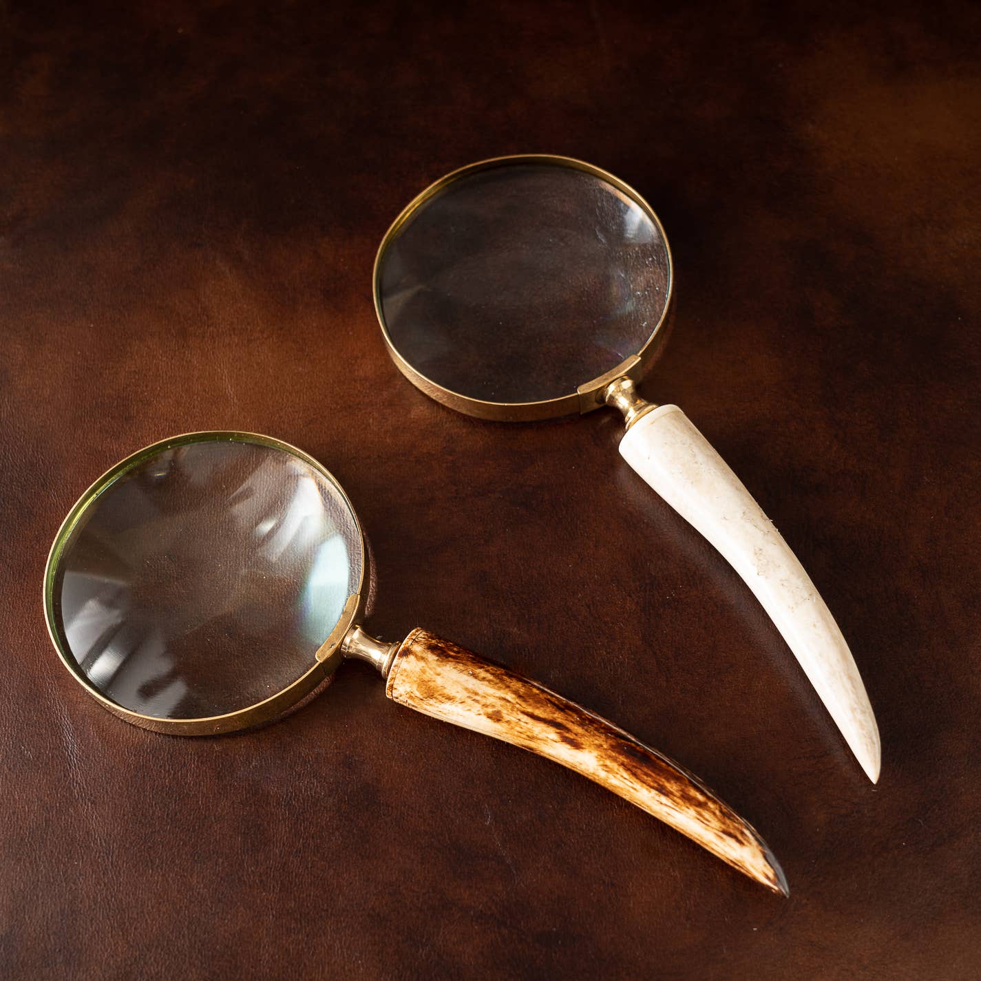 White&Brown Authentic Horn Handle Magnifying Glass